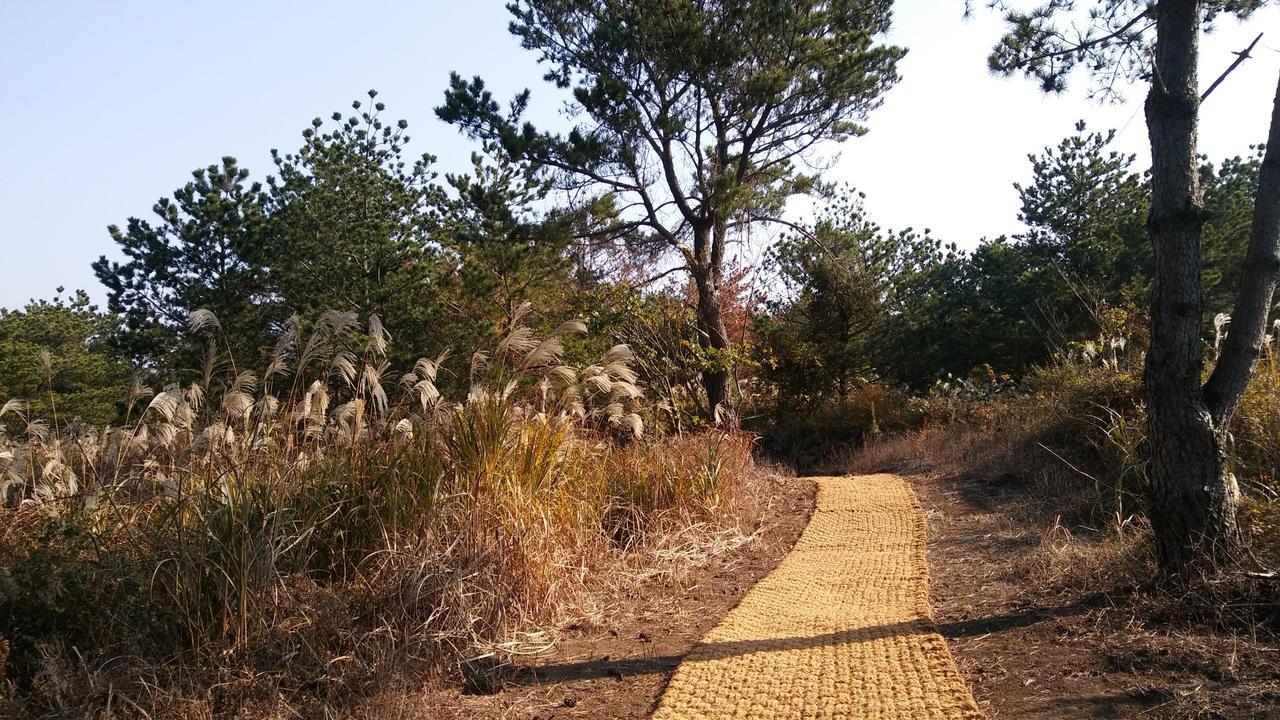 Jeju Youth Hostel ภายนอก รูปภาพ