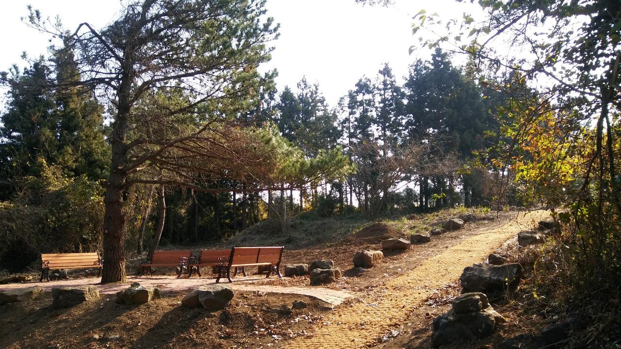 Jeju Youth Hostel ภายนอก รูปภาพ