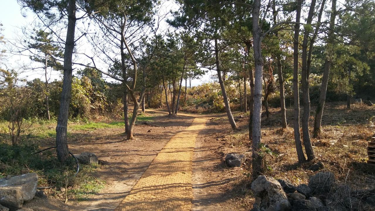 Jeju Youth Hostel ภายนอก รูปภาพ
